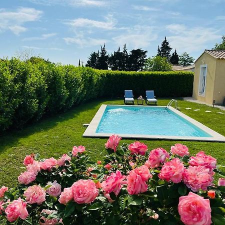 Un Coin Tropical En Provence ! Hotel L'Isle-sur-la-Sorgue Kültér fotó