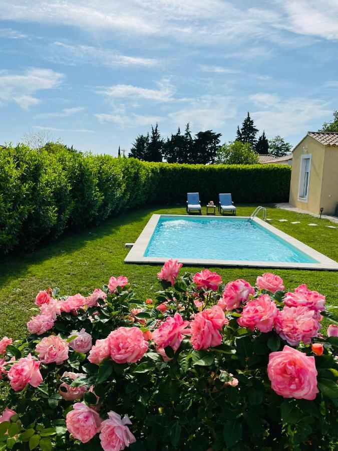 Un Coin Tropical En Provence ! Hotel L'Isle-sur-la-Sorgue Kültér fotó